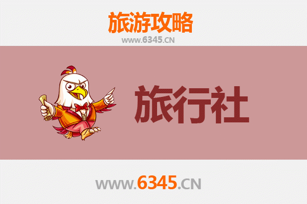 保亭响水镇本地旅行社推荐 | 资深旅游博主带你玩转雨林秘境